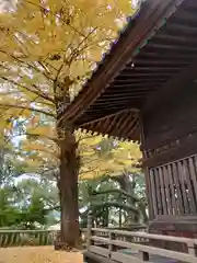 事任八幡宮の建物その他