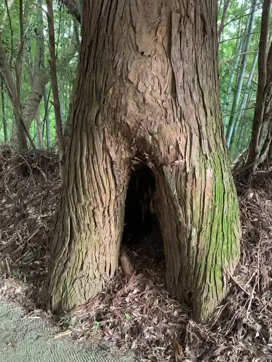 熊野神社(千葉県)