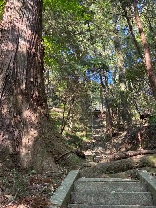 山王神社(茨城県)