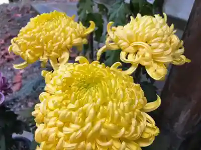 大宮温泉神社(栃木県)