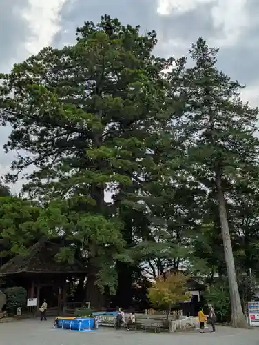 宝城坊(神奈川県)