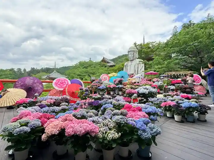 南法華寺(壷阪寺)(奈良県)