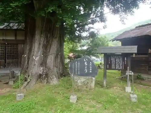 時瀬神明神社(愛知県)