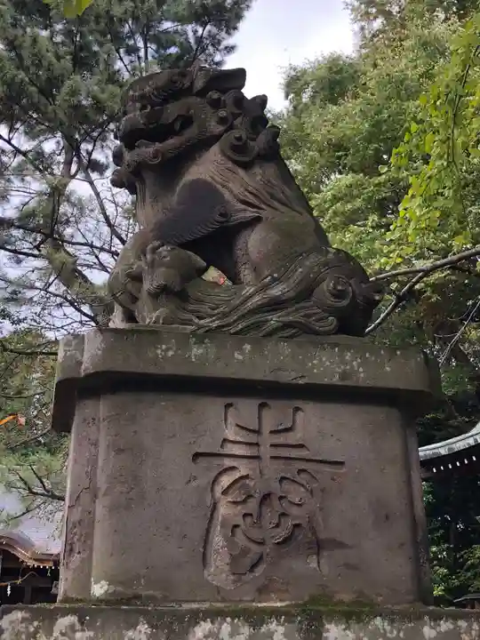 石神井氷川神社の狛犬