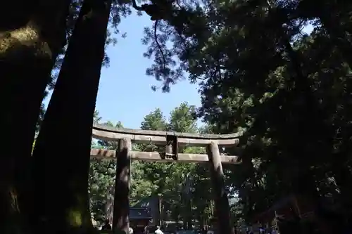 日光東照宮(栃木県)