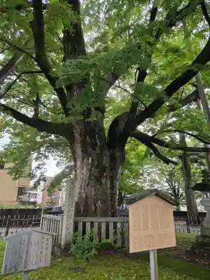 神明宮(石川県)