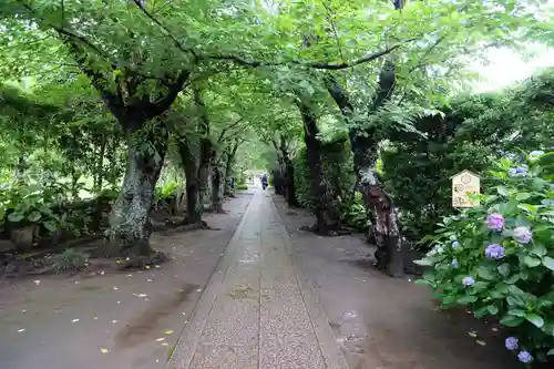 極楽寺（霊鷲山感應院極楽律寺）の景色