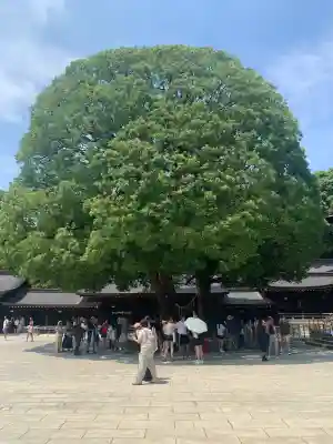 明治神宮(東京都)