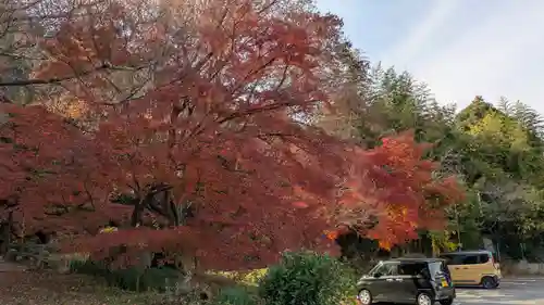 大石神社(京都府)