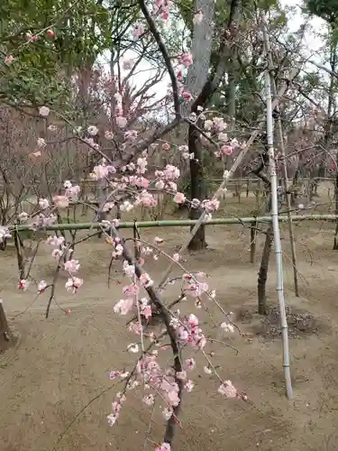 白幡天神社の自然