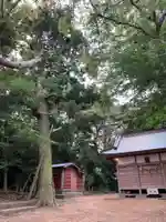 子安神社のその他建物