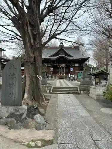 滝野川八幡神社の{uncategorized: "未分類", other: "その他", undefined: "問題あり", building: "その他建物", grave: "お墓", sacred_gate: "鳥居", guardian: "狛犬", statue: "像", buddha: "仏像", history: "歴史", nature: "自然", garden: "庭園", animal: "動物", pagoda: "塔", temizu: "手水舎", mountain_gate: "山門・神門", sanctuary: "本殿・本堂", subordinate: "末社・摂社", art: "芸術", scenery: "景色", jizo: "地蔵", ema: "絵馬", goshuin: "御朱印", omikuji: "おみくじ", items: "授与品その他", amulet: "お守り", goshuincho: "御朱印帳", eats: "食事", festival: "お祭り", votive_dance: "神楽", shichigosan: "七五三参", wedding: "結婚式", experience: "体験その他", initially: "初詣", around: "周辺", anti_infection: "感染症対策"}