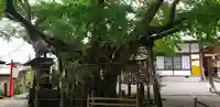 伊那下神社のその他建物