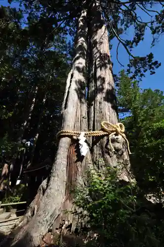北口本宮冨士浅間神社(山梨県)