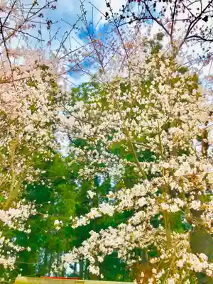 神谷稲荷神社の自然