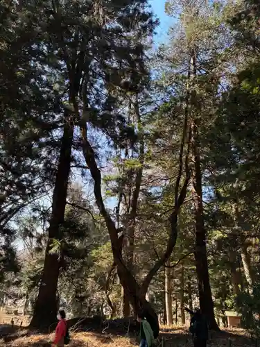 白河神社(福島県)