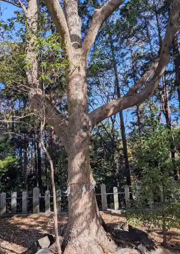 枚岡神社神津嶽本宮(大阪府)