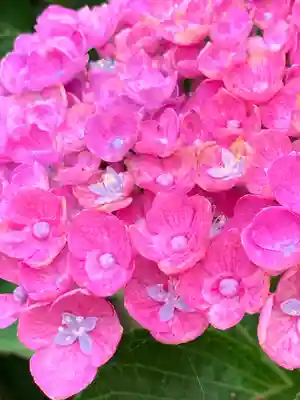 石都々古和気神社(福島県)