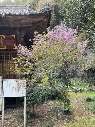 清水寺(岐阜県)