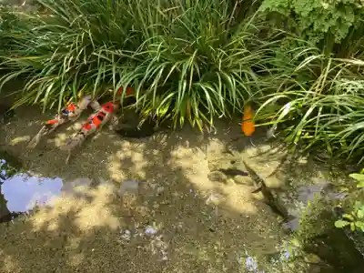 厳嶋神社(東京都)