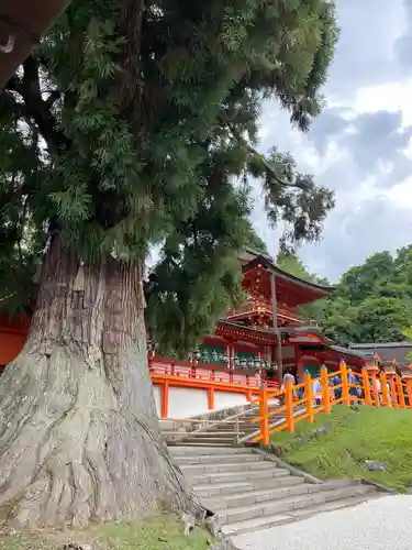 春日大社(奈良県)