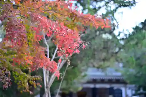 円覚寺(神奈川県)