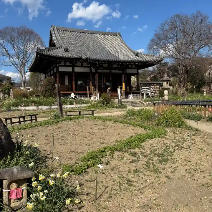 般若寺 ❁コスモス寺❁(奈良県)