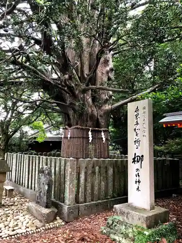 熊野速玉大社の自然