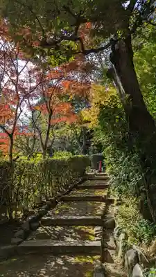 常寂光寺(京都府)