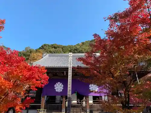 禅林寺（永観堂）の本殿・本堂