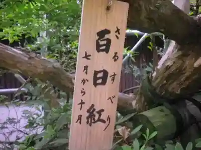 長谷寺のその他建物