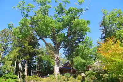 阿久津「田村神社」（郡山市阿久津町）旧社名：伊豆箱根三嶋三社の景色
