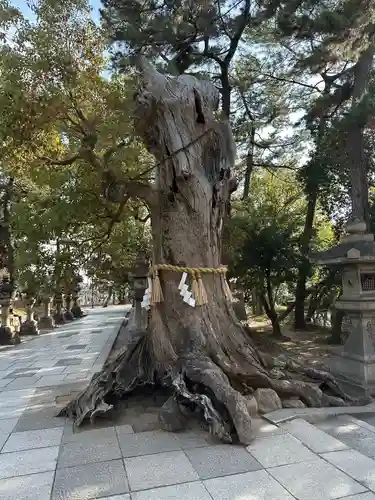 住吉大社(大阪府)