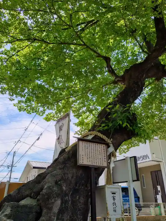 田光八幡社(愛知県)