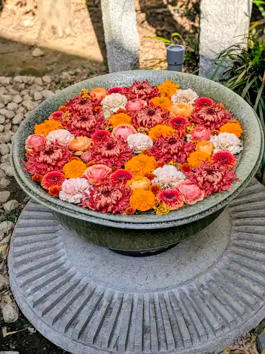 行田八幡神社の{uncategorized: "未分類", other: "その他", undefined: "問題あり", building: "その他建物", grave: "お墓", sacred_gate: "鳥居", guardian: "狛犬", statue: "像", buddha: "仏像", history: "歴史", nature: "自然", garden: "庭園", animal: "動物", pagoda: "塔", temizu: "手水舎", mountain_gate: "山門・神門", sanctuary: "本殿・本堂", subordinate: "末社・摂社", art: "芸術", scenery: "景色", jizo: "地蔵", ema: "絵馬", goshuin: "御朱印", omikuji: "おみくじ", items: "授与品その他", amulet: "お守り", goshuincho: "御朱印帳", eats: "食事", festival: "お祭り", votive_dance: "神楽", shichigosan: "七五三参", wedding: "結婚式", experience: "体験その他", initially: "初詣", around: "周辺", anti_infection: "感染症対策"}