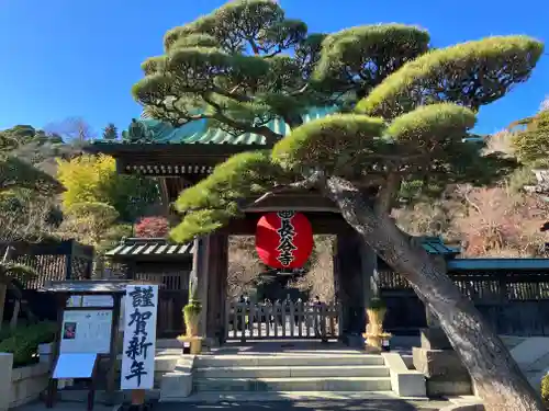 長谷寺の山門・神門