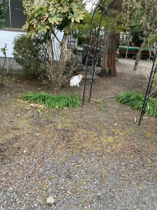 今市報徳二宮神社(栃木県)