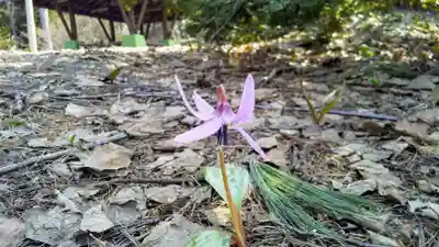 稲荷神社の自然