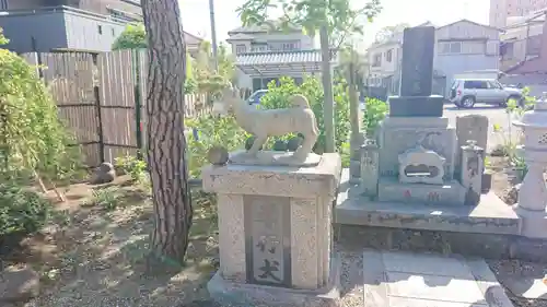 円明寺の狛犬