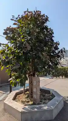 雲雷寺(大阪府)