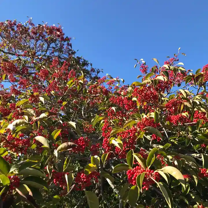 稲毛浅間神社(千葉県)