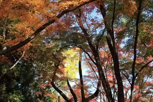 三春大神宮の自然