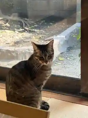 本光寺(京都府)