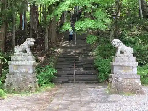 戸隠神社宝光社の狛犬