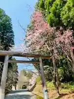 土津神社|こどもと出世の神さまの鳥居