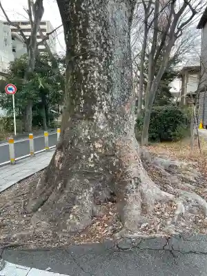 氷川神社の{uncategorized: "未分類", other: "その他", undefined: "問題あり", building: "その他建物", grave: "お墓", sacred_gate: "鳥居", guardian: "狛犬", statue: "像", buddha: "仏像", history: "歴史", nature: "自然", garden: "庭園", animal: "動物", pagoda: "塔", temizu: "手水舎", mountain_gate: "山門・神門", sanctuary: "本殿・本堂", subordinate: "末社・摂社", art: "芸術", scenery: "景色", jizo: "地蔵", ema: "絵馬", goshuin: "御朱印", omikuji: "おみくじ", items: "授与品その他", amulet: "お守り", goshuincho: "御朱印帳", eats: "食事", festival: "お祭り", votive_dance: "神楽", shichigosan: "七五三参", wedding: "結婚式", experience: "体験その他", initially: "初詣", around: "周辺", anti_infection: "感染症対策"}