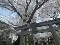 前原御嶽神社の鳥居