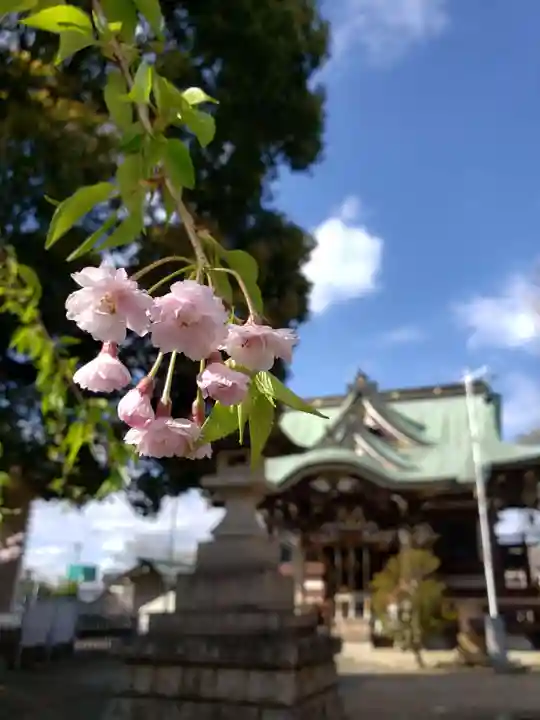 諏訪神社の自然