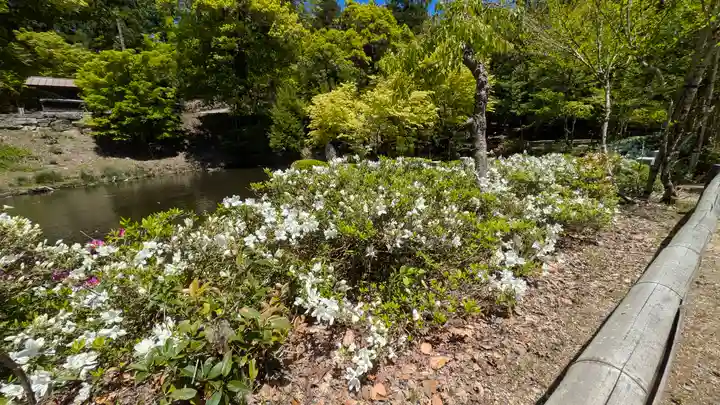 成相寺(京都府)