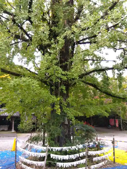 春日神社(岐阜県)